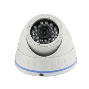Acesee ADSRF30E200 - 2,4 MP Dome IP Camera