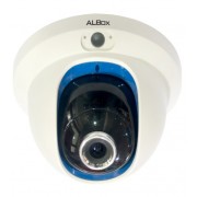 Smart Series 2MP Dome IP Camera (TelSecur-Compatible) (SAC290D)