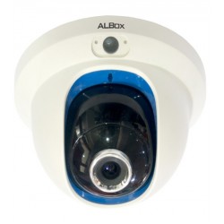 Smart Series 2MP Dome IP Camera (TelSecur-Compatible) (SAC290D)